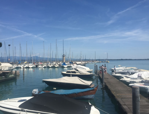 My Guide to Surviving a Teaching Assistantship