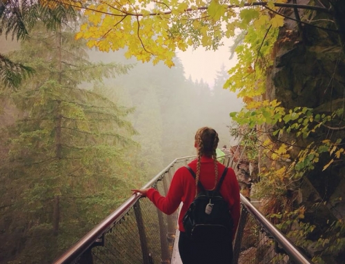 Try Not to Forget Your ID Next Time